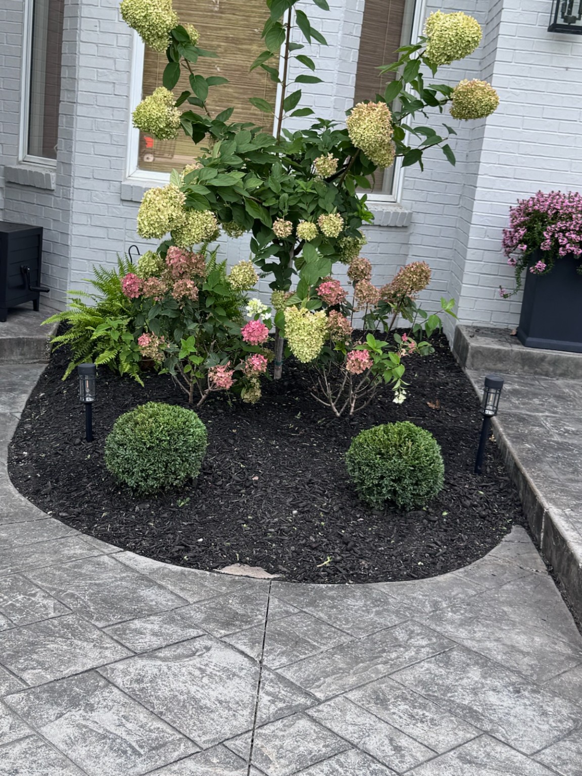 Flower Bed Refresh: Clean black mulch and defined edges