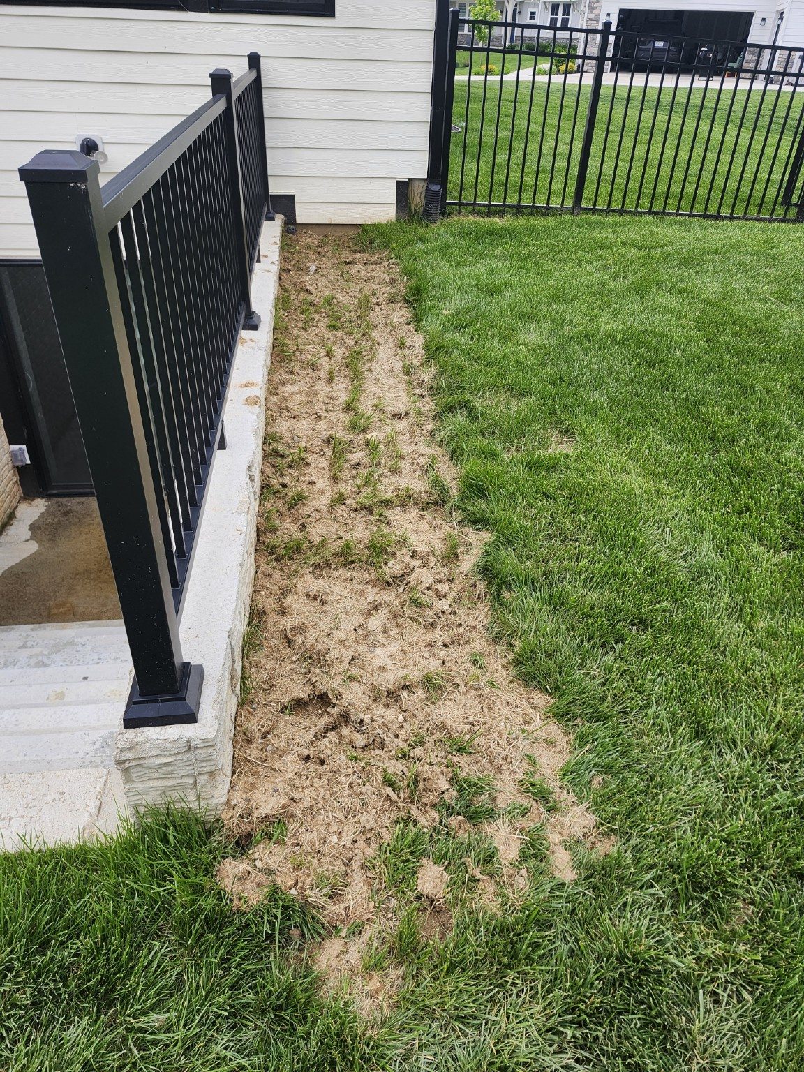 Exposed soil and grass by the black railing.