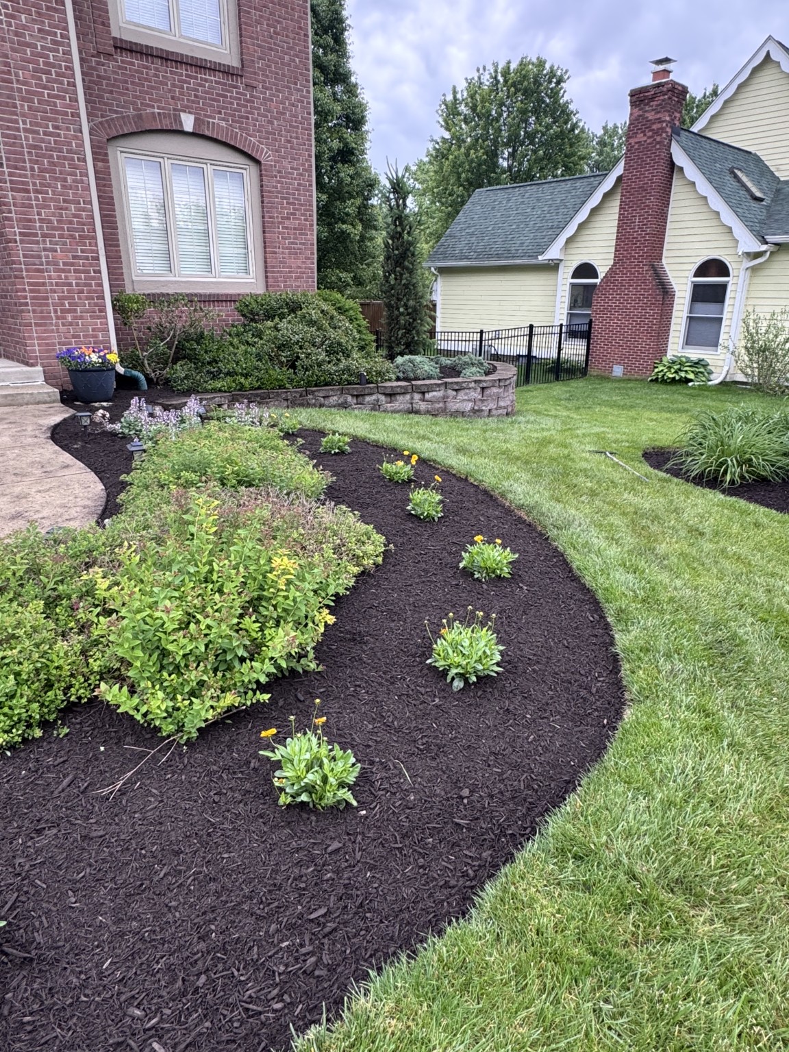 Clean edging and dark mulch along the lawn.